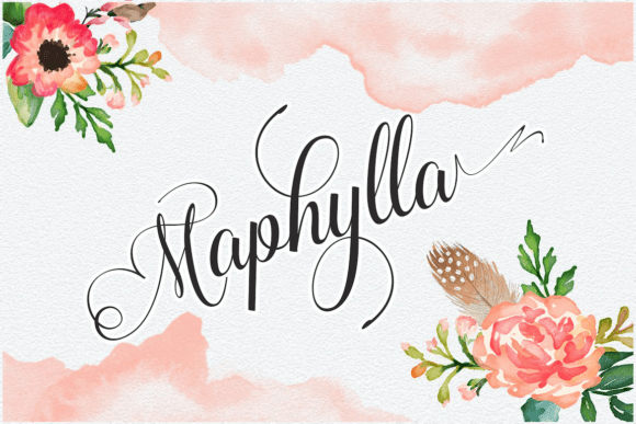 Elevate Your Web Design with Maphylla Font