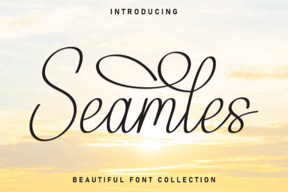 Seamles: A Whimsical Handwritten Font for Web Design